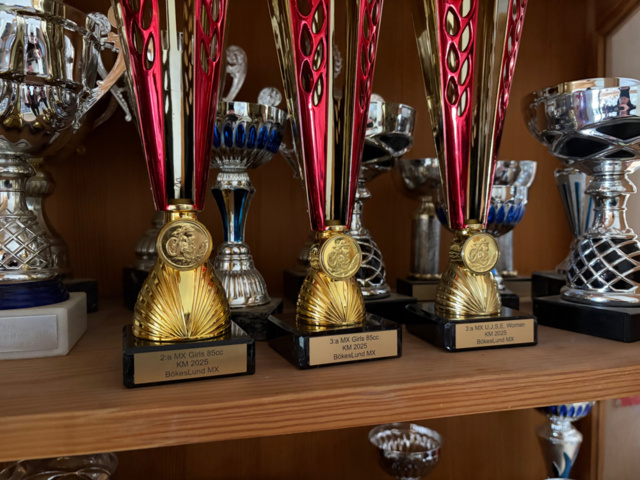 1476219-6 Vitrinskåp med pokaler