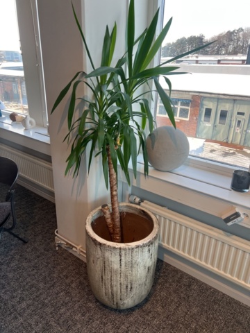 1469552-6 Kontorsinredning - Golvskåp, sidobänk, inredningsdetaljer, m.m.