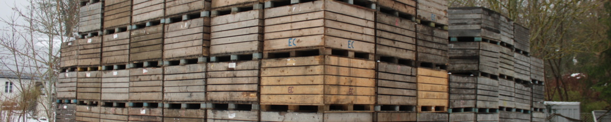 Bild som representerar auktionen - Blågrund Frukt AB i konkurs