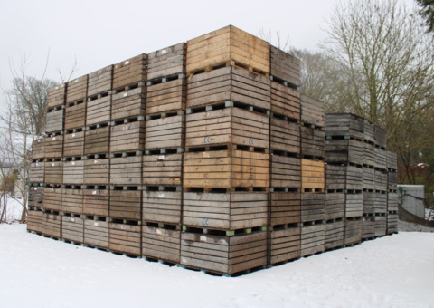 Bild som representerar auktionen - Blågrund Frukt AB i konkurs