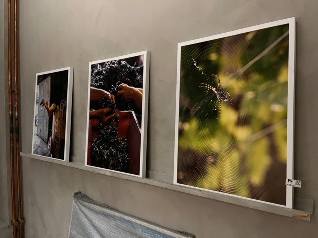 1424107-1 Collection of paintings and pictures with wine motifs - approx. 11 pieces