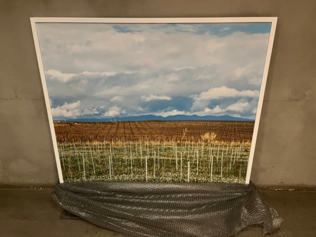 1424107-2 Collection of paintings and pictures with wine motifs - approx. 11 pieces