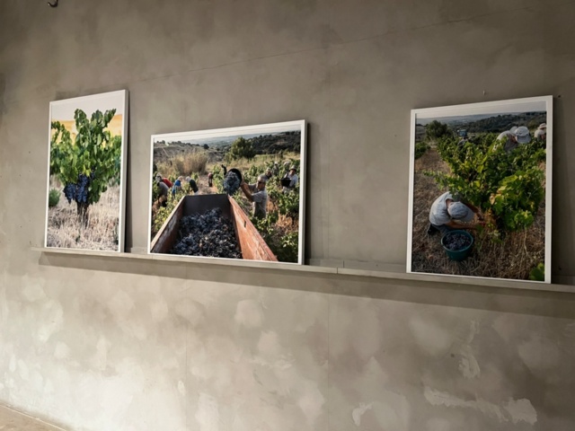 1424107-3 Collection of paintings and pictures with wine motifs - approx. 11 pieces