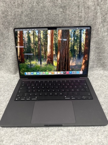 1442284-1 Laptop with Magic Mouse and accessories - Apple MacBook Pro 14" (M4, 2024)