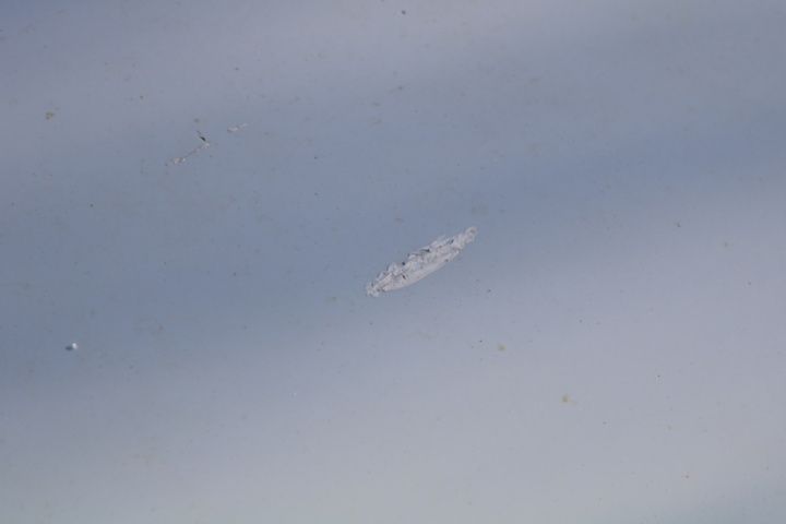 1416798-26 Dacia Dokker Express 1.6 SCe Manual, 102hp, 2019