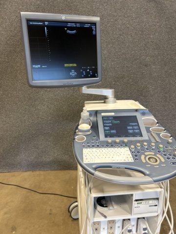 1453382-8 Ultrasound machine with probes and accessories - GE Voluson E6 -2016