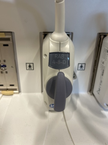 1453382-12 Ultrasound machine with probes and accessories - GE Voluson E6 -2016