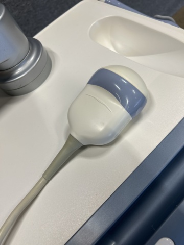 1453382-20 Ultrasound machine with probes and accessories - GE Voluson E6 -2016