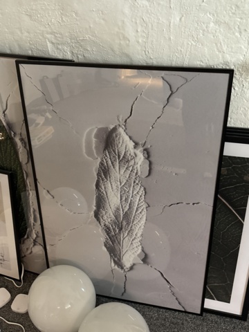 1469129-6 Belysning och ramade planscher