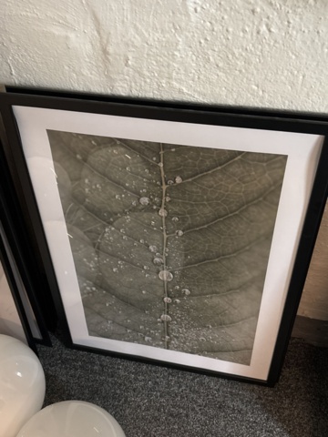 1469129-9 Belysning och ramade planscher