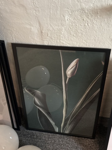 1469129-10 Belysning och ramade planscher