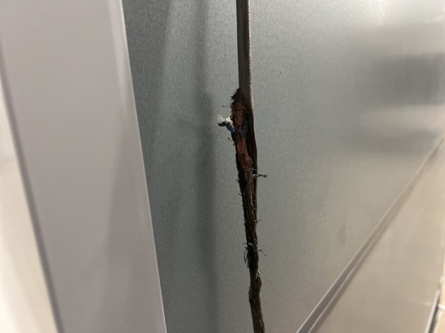 1492630-7 Display fridge Norpe H53000S