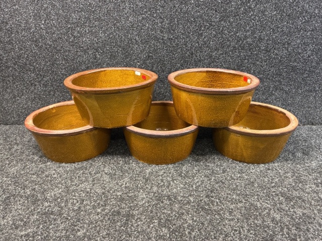 1483679-1 5 st Krukor