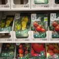 1493426-6 Retail rack with Nelson Garden seed bags of tomato seeds