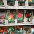 1493426-7 Retail rack with Nelson Garden seed bags of tomato seeds