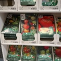 1493426-8 Retail rack with Nelson Garden seed bags of tomato seeds