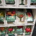 1493426-10 Retail rack with Nelson Garden seed bags of tomato seeds