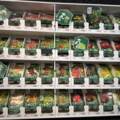 1493427-2 Retail rack with Nelson Garden seed bags of tomato seeds