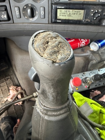 1368061-29 Volvo Trucks FH 12.8 Manual, 480hp, 2007