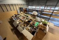 1471231 Lot of stuffed animals – mixed animal models in boxes