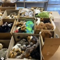 1471231-6 Lot of stuffed animals – mixed animal models in boxes