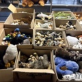 1471231-4 Lot of stuffed animals – mixed animal models in boxes