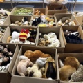 1471231-5 Lot of stuffed animals – mixed animal models in boxes