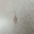 1401373-77 Fastighet Boden Svartlå 1:77