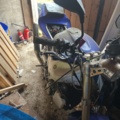 1351409-6 Motorcykel - Yamaha YZF-R1 1.0 Manuell, 150hk -1999 (Reparationsobjekt)