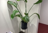 1469657 Various interior details