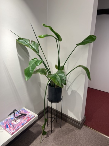 1469657-1 Various interior details