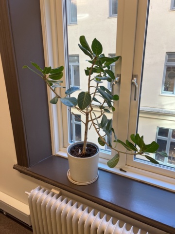 1469657-3 Various interior details