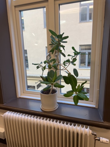 1469657-4 Various interior details