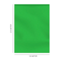 1498310-2 Green Screen iiglo ChromaKey