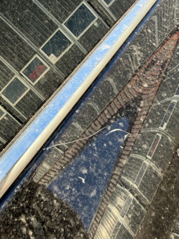 1498451-11 Škoda Enyaq iV 80x AWD, 265hk -2022