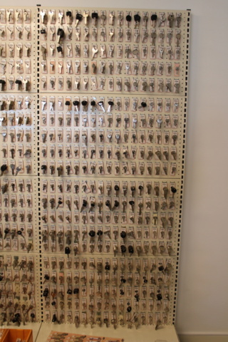 1476283-7 Seven wall shelves with key holders