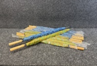 1492493 13 st Paraplyn