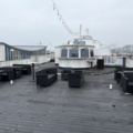 1501154-86 Restaurant and event boat - M/S PRINS BERNHARD