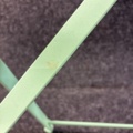 1505171-4 Bord Bistro Fermob Ø60 cm, Green Opaline