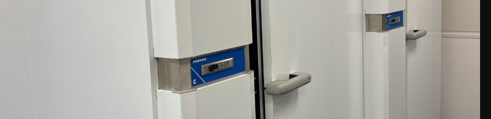 Image representing the auction - Disposal of cold and freezer rooms