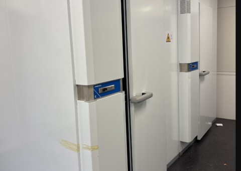 Image representing the auction - Disposal of cold and freezer rooms