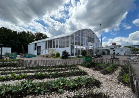 Image representing the auction - Sale of warehouse / tent hall 800 m²