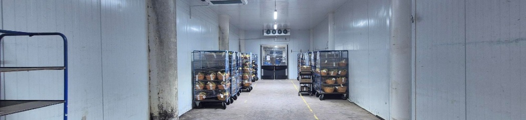 Image representing the auction - Disposal of cold storage