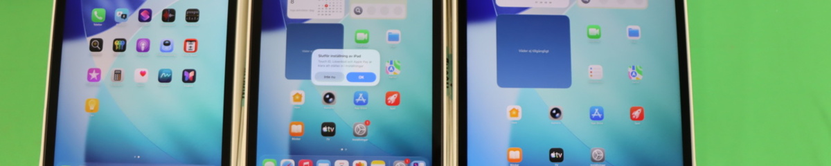 Bild som representerar auktionen - The Whole Fish AB i konkurs