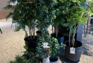 1514027 Konstgjorda växter