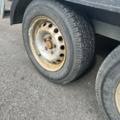 1511831-22 Hästtransport VÄRMLANDSVAGNEN CORTEZ 2 -2011