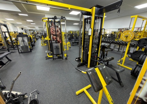 Avveckling komplett gym