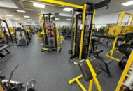 1510936 Complete gym, Eleiko, Hammer Strength, Stairmaster, Nautilus and more