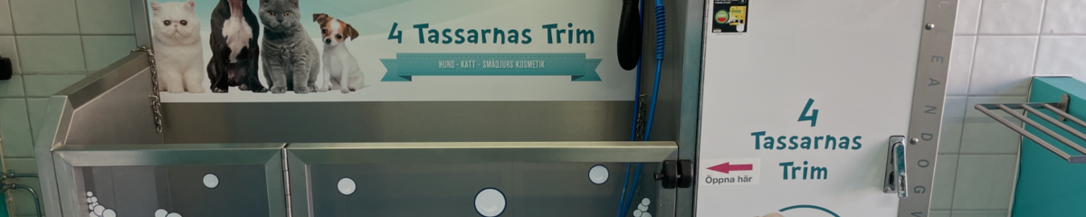 Image representing the auction - Disposal of dog wash