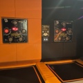 1408056-16 Komplett Trampolinpark / Ninja Course / CardioWall – ca 470 m²